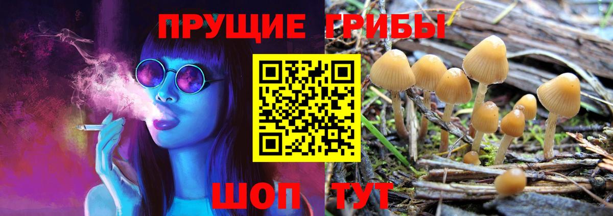 Псилоцибиновые грибы ЛСД Среднеуральск