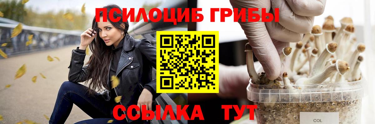 Галлюциногенные грибы прущие грибы  Псилоцибиновые грибы Cubensis  Вход с VPN  Среднеуральск 